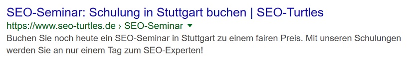 Snippet in den SERPs
